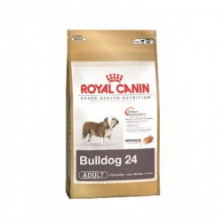 Royal Canin (法國皇家) 成犬乾糧 – 英國鬥牛犬12kg