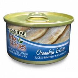 Canidae 海洋魚魚湯貓罐頭 (3 oz)